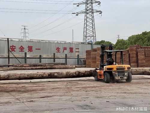 木头云合作加工厂 共筑绿色未来，引领环保材料研发新篇章